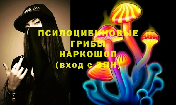 соль курить ск Кулебаки