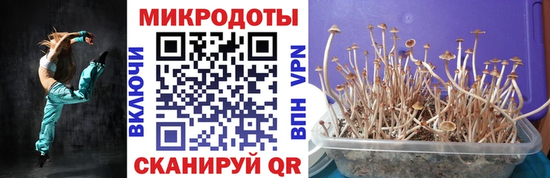 Купить закладки  Сунжа  Галлюциногенные грибы мухоморы 
